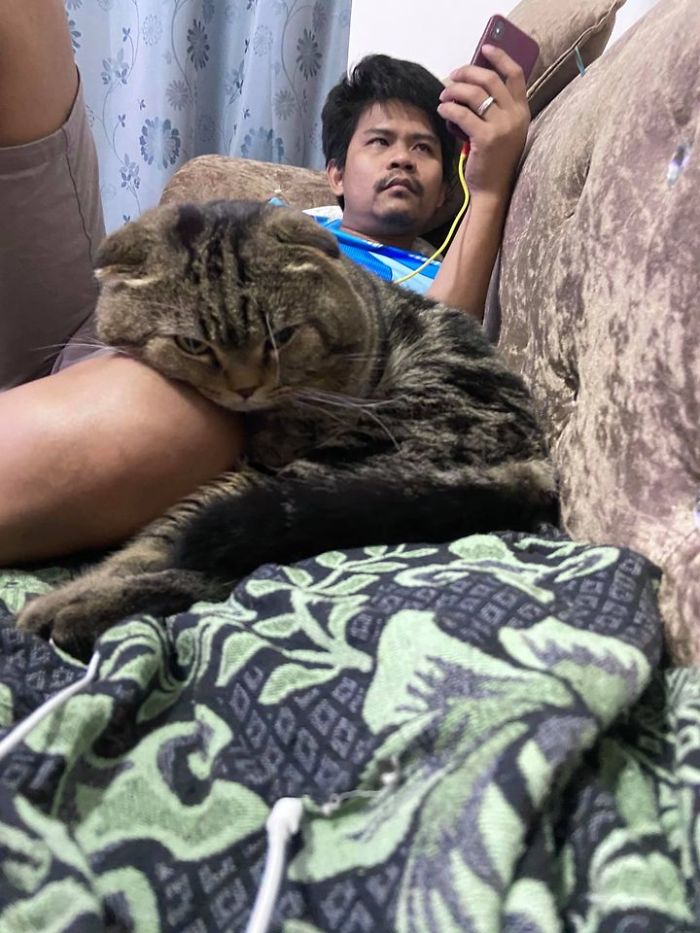 Cat-Stole-Husband-Nasrin-Hami