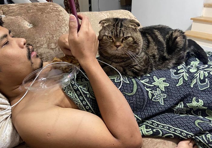 Cat-Stole-Husband-Nasrin-Hami