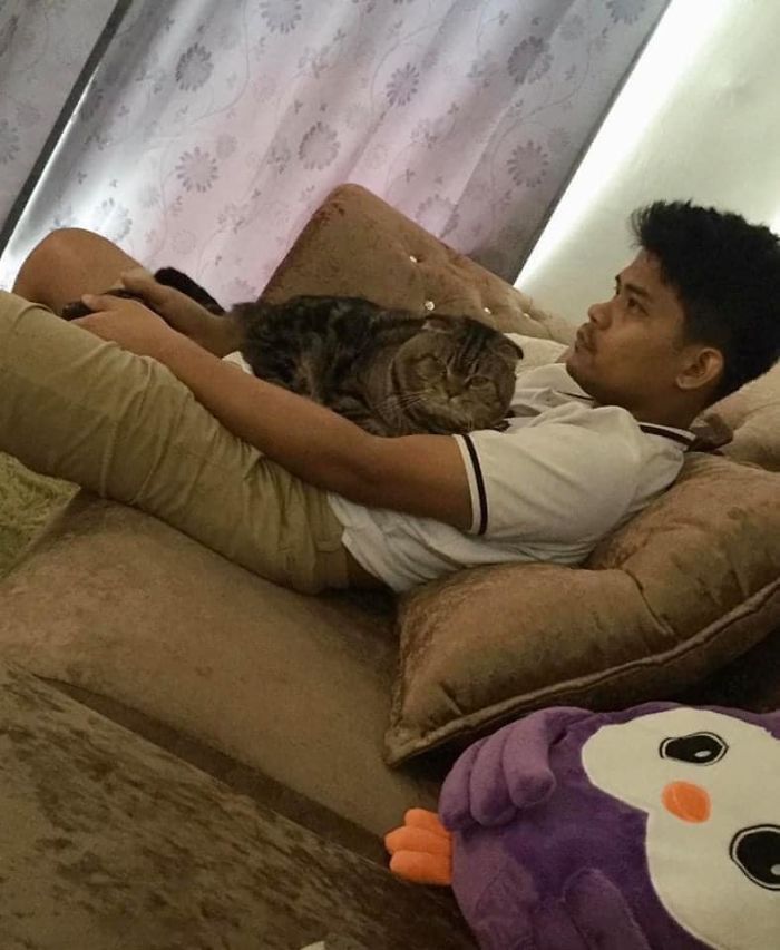 Cat-Stole-Husband-Nasrin-Hami