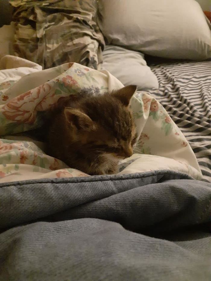 I Just Got Off Work, Come Home To Let My Dogs Out And This Little Thing Starts Following Around My One Pupper, It Was Chilly And No Mom