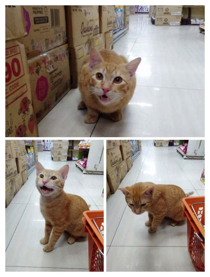 The Cutest Staff In Our Local Supermarket