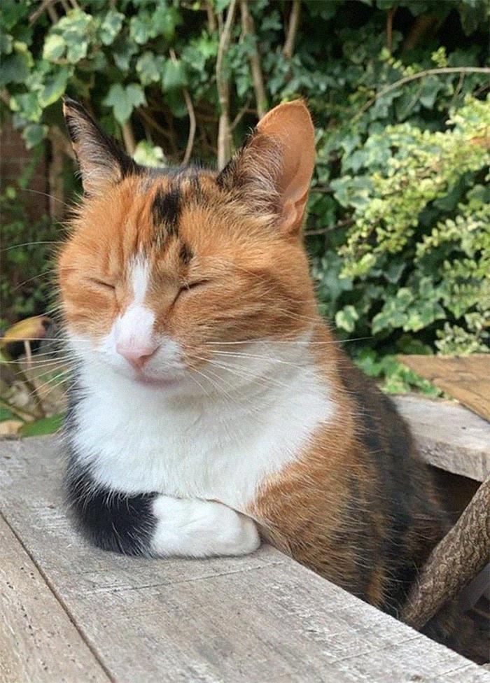 Little Lady Sat In A Planter Waiting On Her Pint