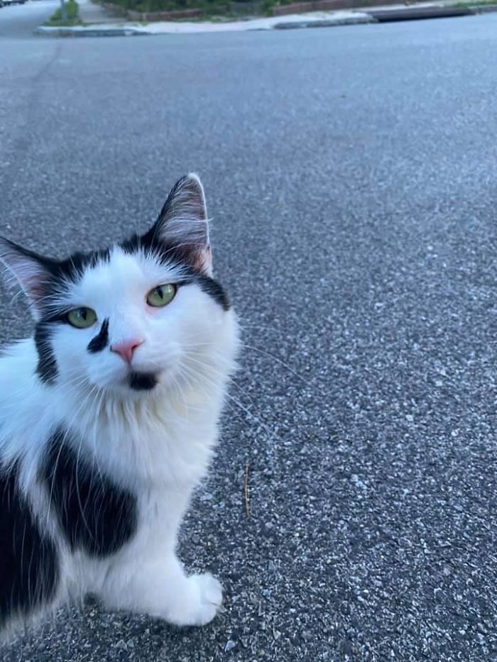 Ran Into This Sweet Girl On My Way Home