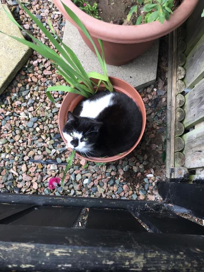 Found This Pretty Flower On A Walk A Few Weeks Ago, Wouldn’t Let Me Pet But Still Loved The View