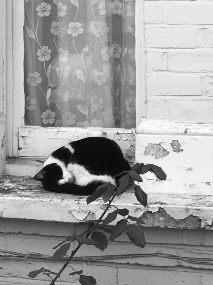 Spotted This Black & White Dough Ball On The Way Home. 10/10 For Inspiring A Black & White Photograph