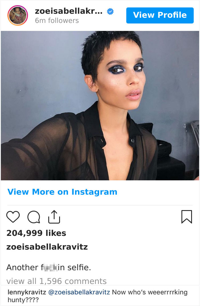 When Zoe Kravitz Shared A Selfie Of Her ~smoky Eye~ Look. And Her Dad Slid Into The Comments With This