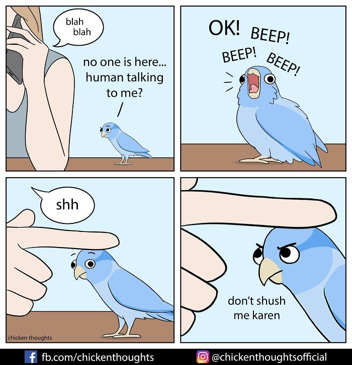 Chicken-Thoughts-Comics