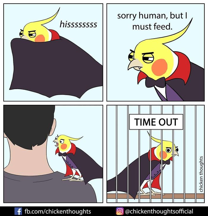 Chicken-Thoughts-Comics