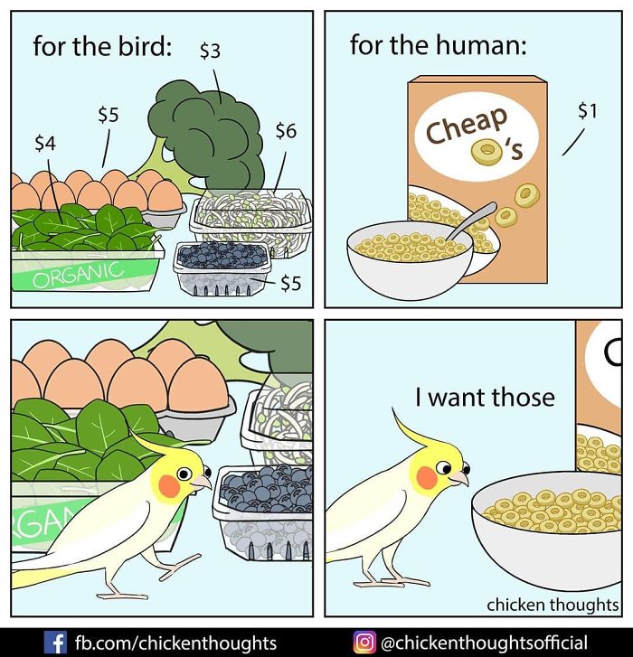Chicken-Thoughts-Comics