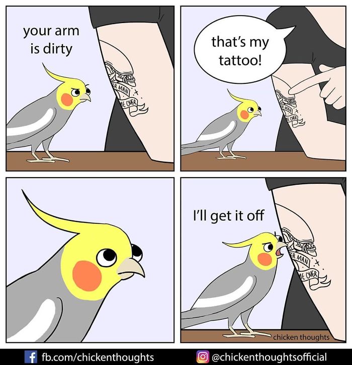 Chicken-Thoughts-Comics