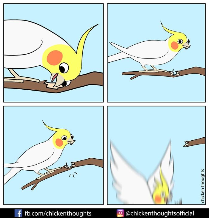 Chicken-Thoughts-Comics