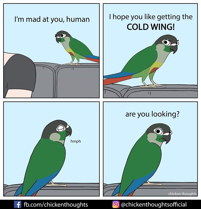 Chicken-Thoughts-Comics