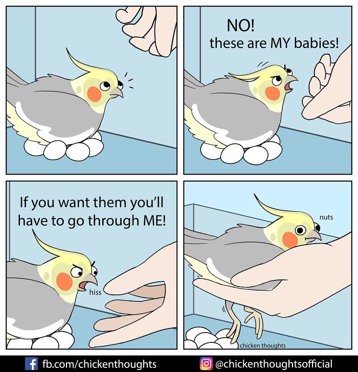 Chicken-Thoughts-Comics