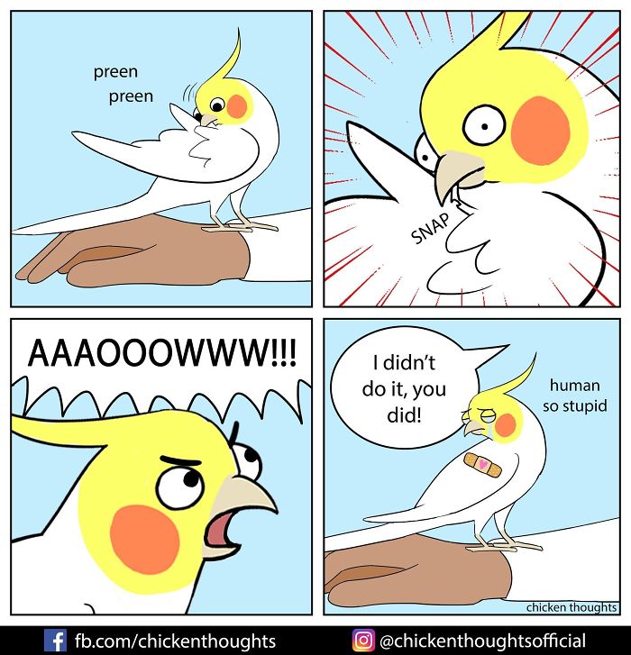 Chicken-Thoughts-Comics