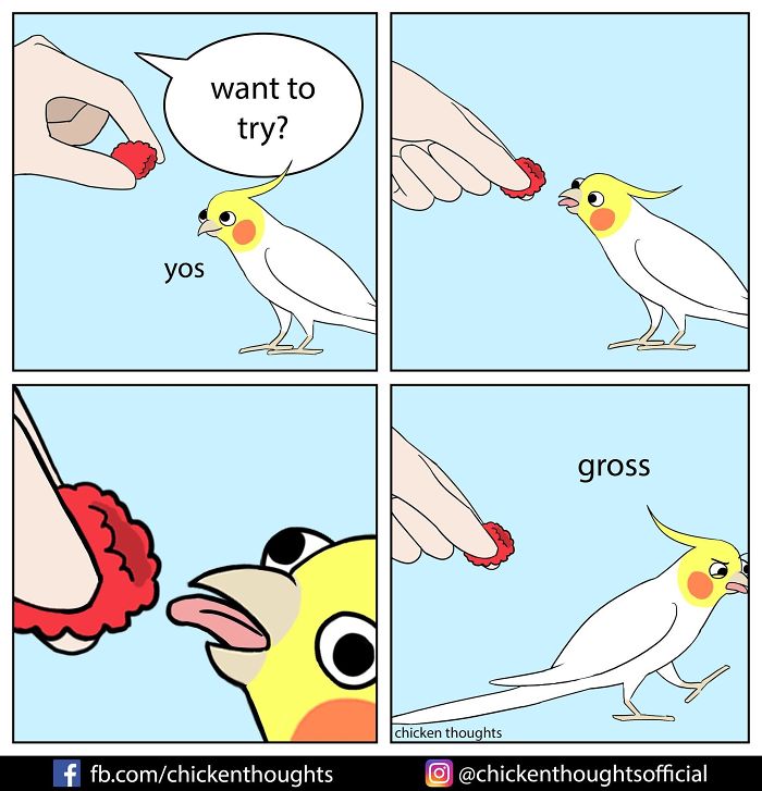 Chicken-Thoughts-Comics