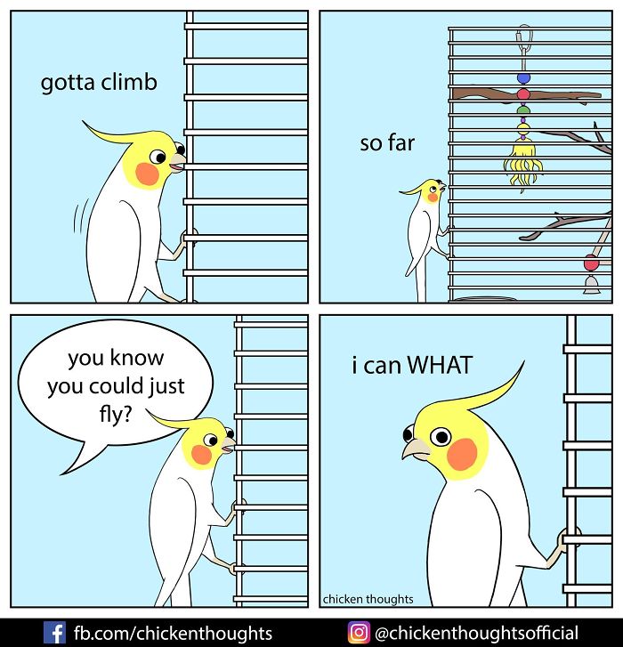 Chicken-Thoughts-Comics