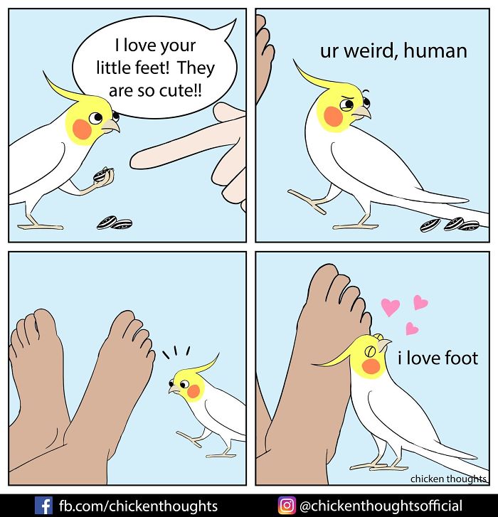 Chicken-Thoughts-Comics