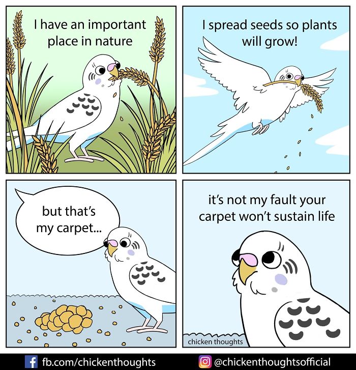 Chicken-Thoughts-Comics