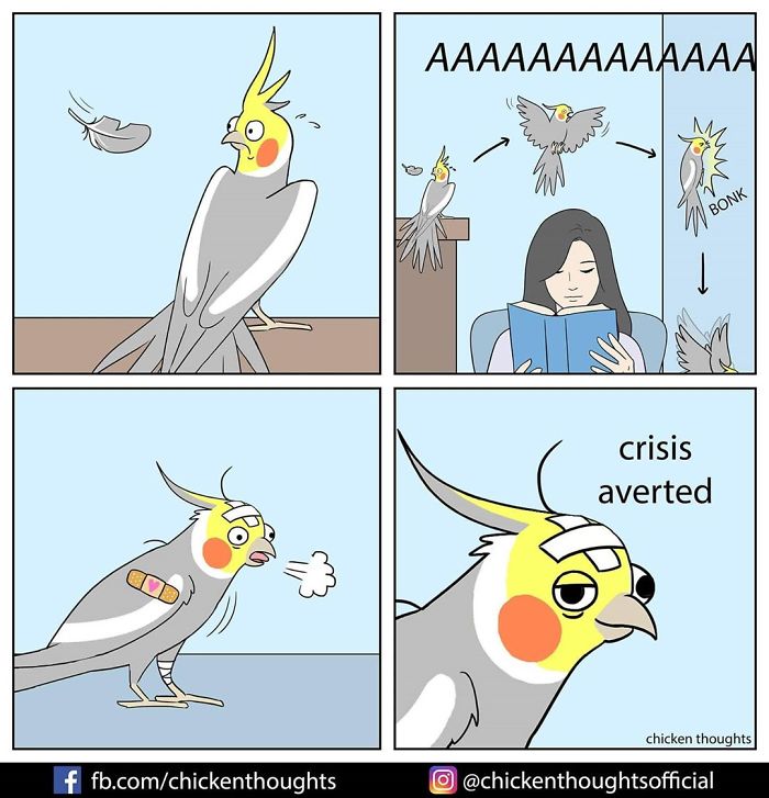 Chicken-Thoughts-Comics