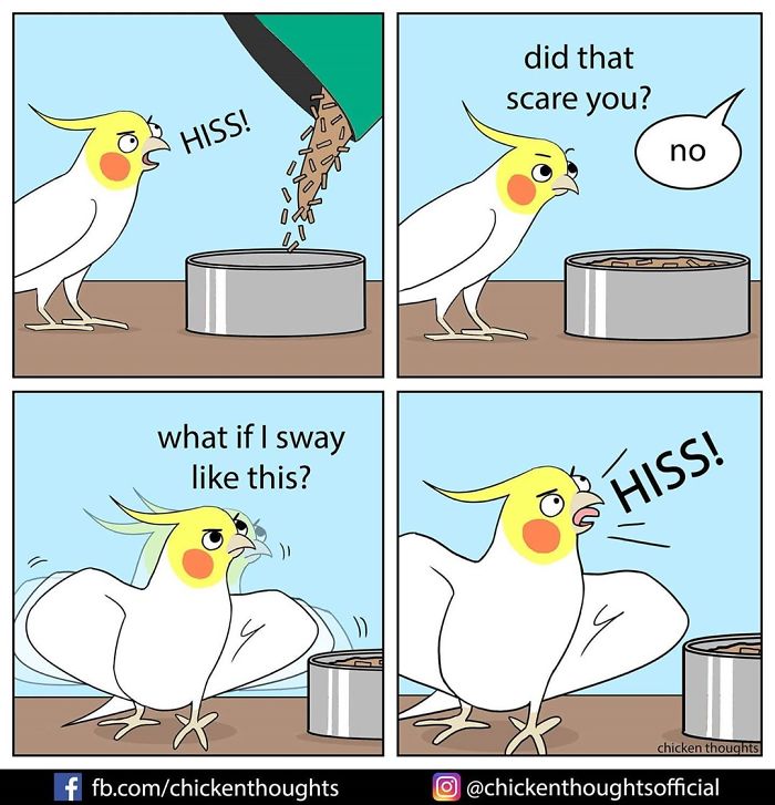 Chicken-Thoughts-Comics