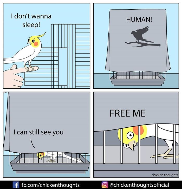 Chicken-Thoughts-Comics