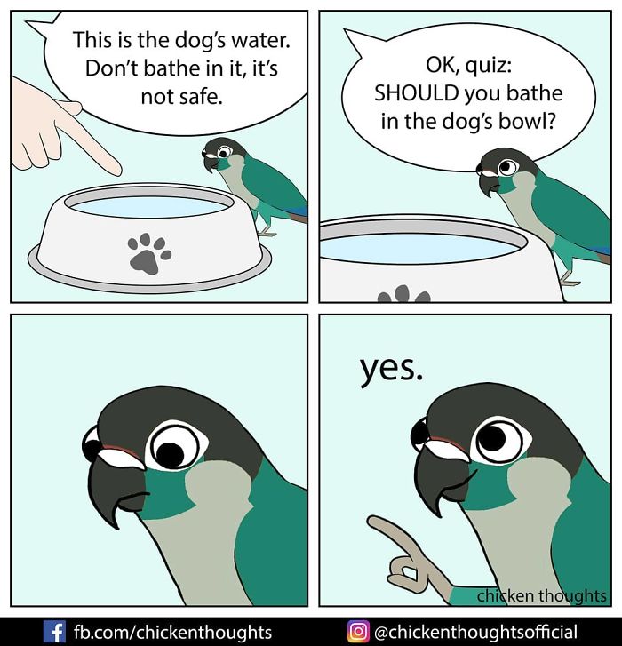 Chicken-Thoughts-Comics