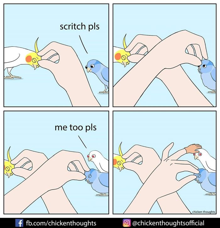 Chicken-Thoughts-Comics