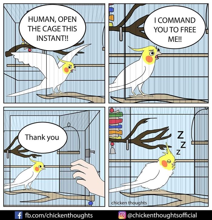 Chicken-Thoughts-Comics