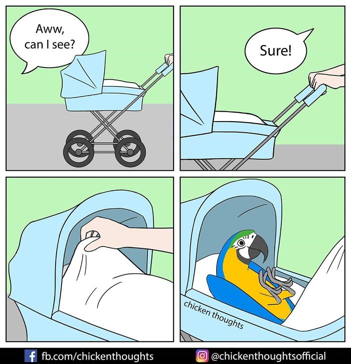 Chicken-Thoughts-Comics