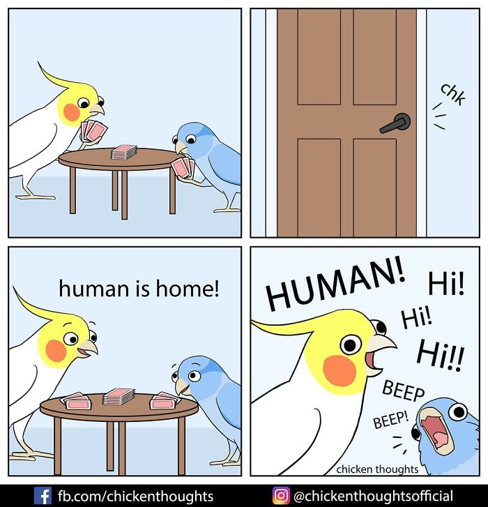 Chicken-Thoughts-Comics