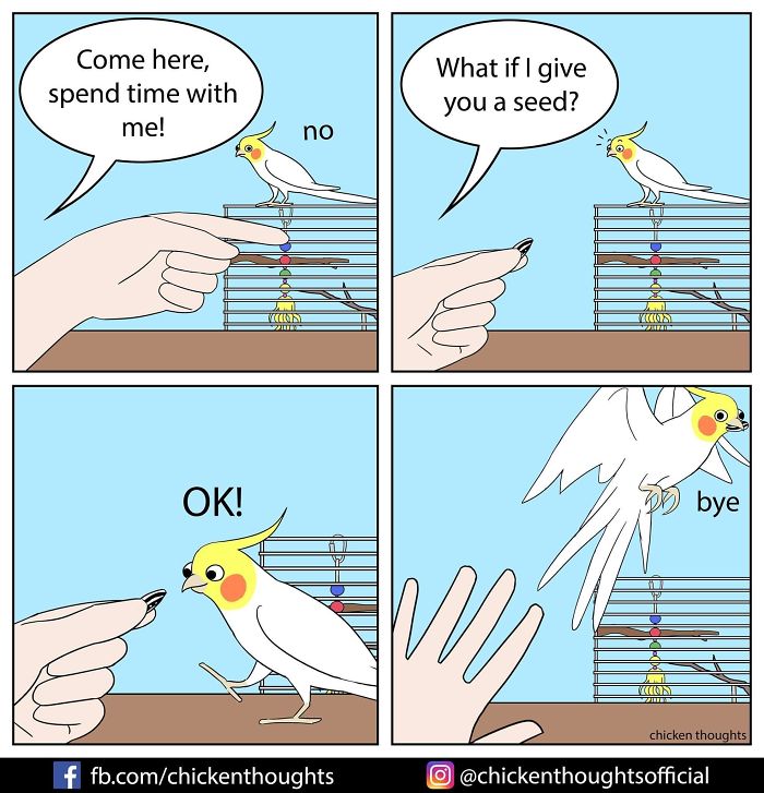 Chicken-Thoughts-Comics