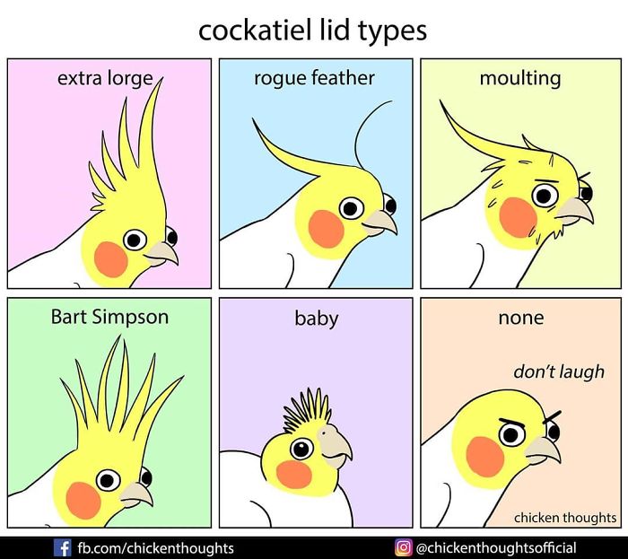 Chicken-Thoughts-Comics