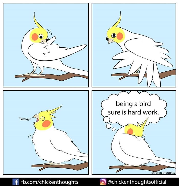 Chicken-Thoughts-Comics