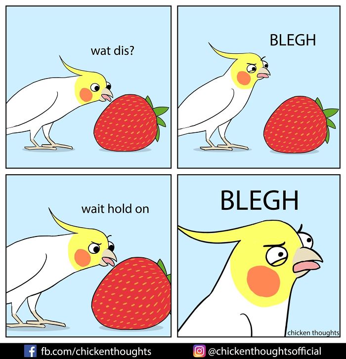 Chicken-Thoughts-Comics