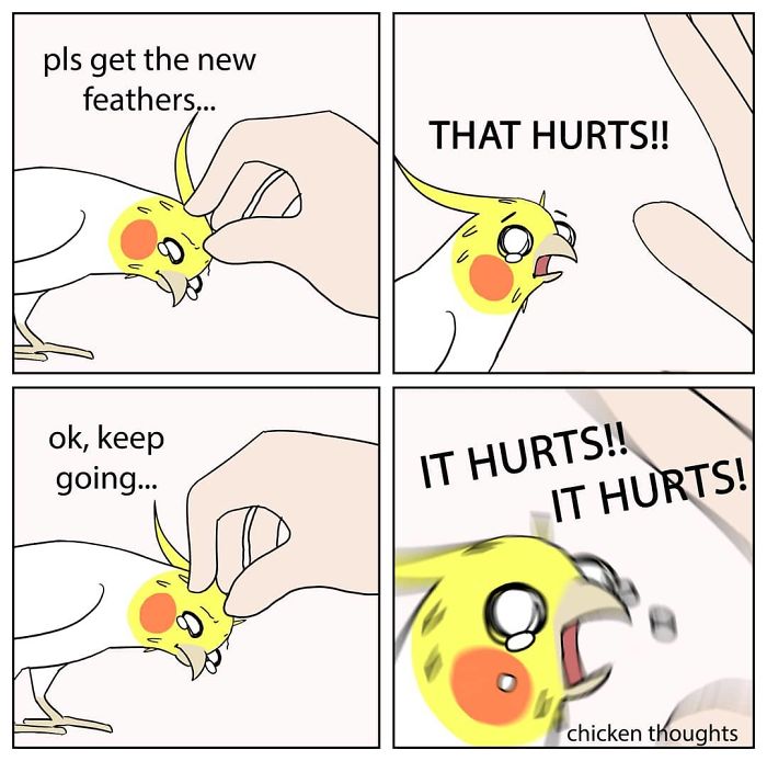 Chicken-Thoughts-Comics