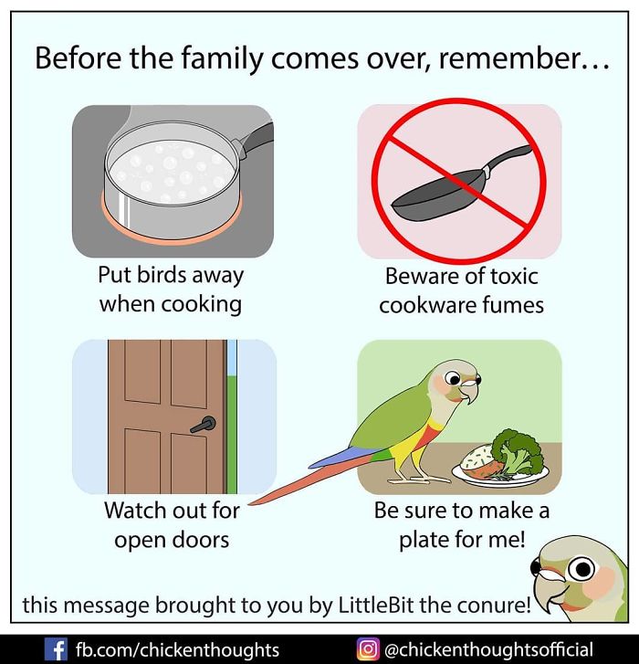 Chicken-Thoughts-Comics