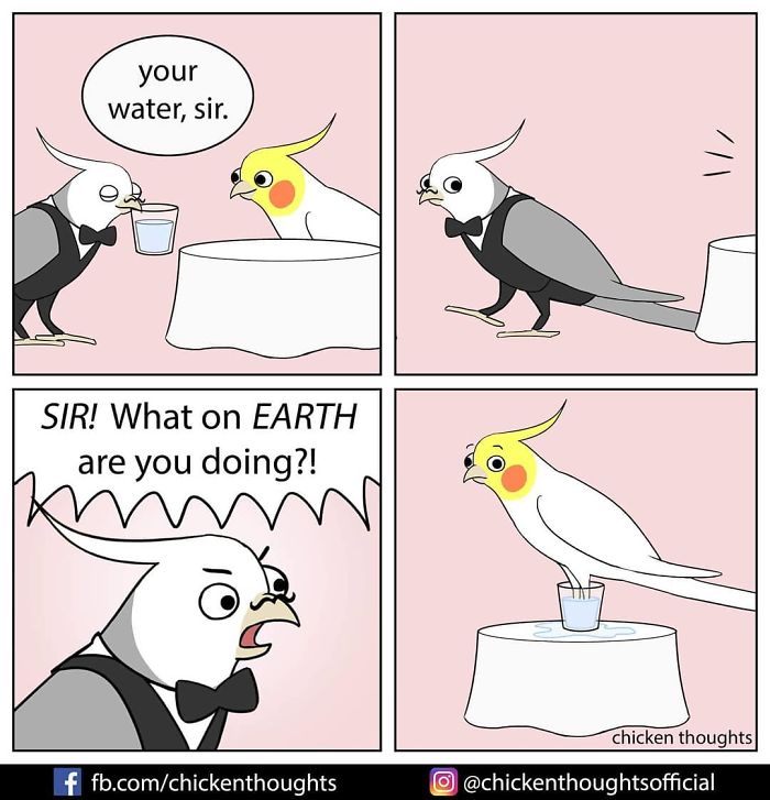 Chicken-Thoughts-Comics