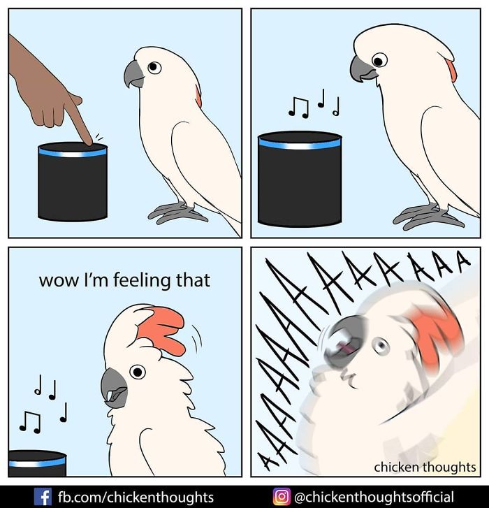 Chicken-Thoughts-Comics