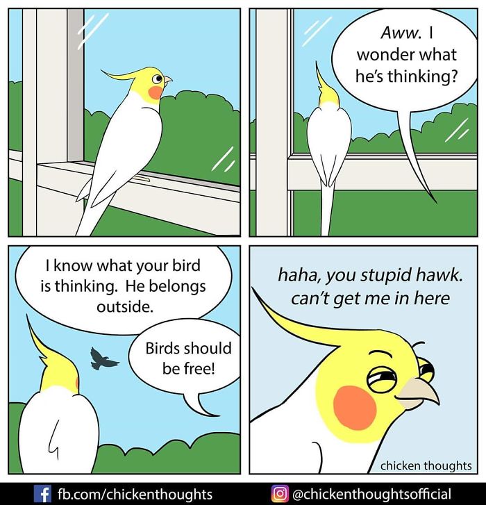 Chicken-Thoughts-Comics