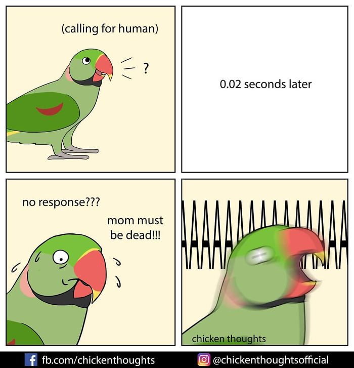 Chicken-Thoughts-Comics