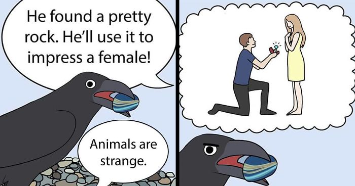 30 Funny Comics About Parrots, Illustrated By A Bird Owner
