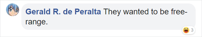 Man Grows Tired Of His Chickens Always Escaping The Coop So He Buys Them High-Visibility Vests Man Grows Tired Of His Chickens Always Escaping The Coop So He Buys Them High-Visibility Vests