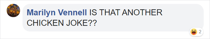 Man Grows Tired Of His Chickens Always Escaping The Coop So He Buys Them High-Visibility Vests Man Grows Tired Of His Chickens Always Escaping The Coop So He Buys Them High-Visibility Vests