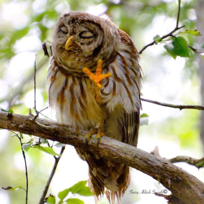 I Know, I Know, Puh-Lease. I'm The Cutest Thing Ever, Right?