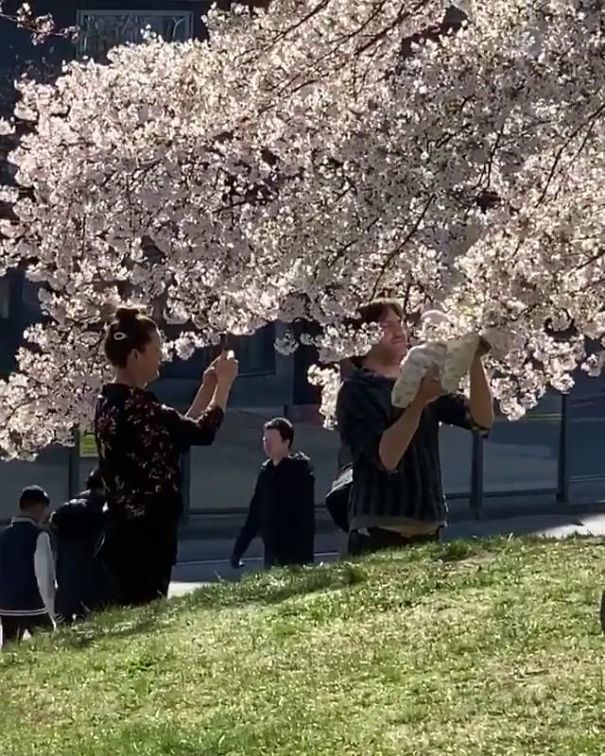Happy Father’s Day To This Guy Shoving His Baby Into A Tree