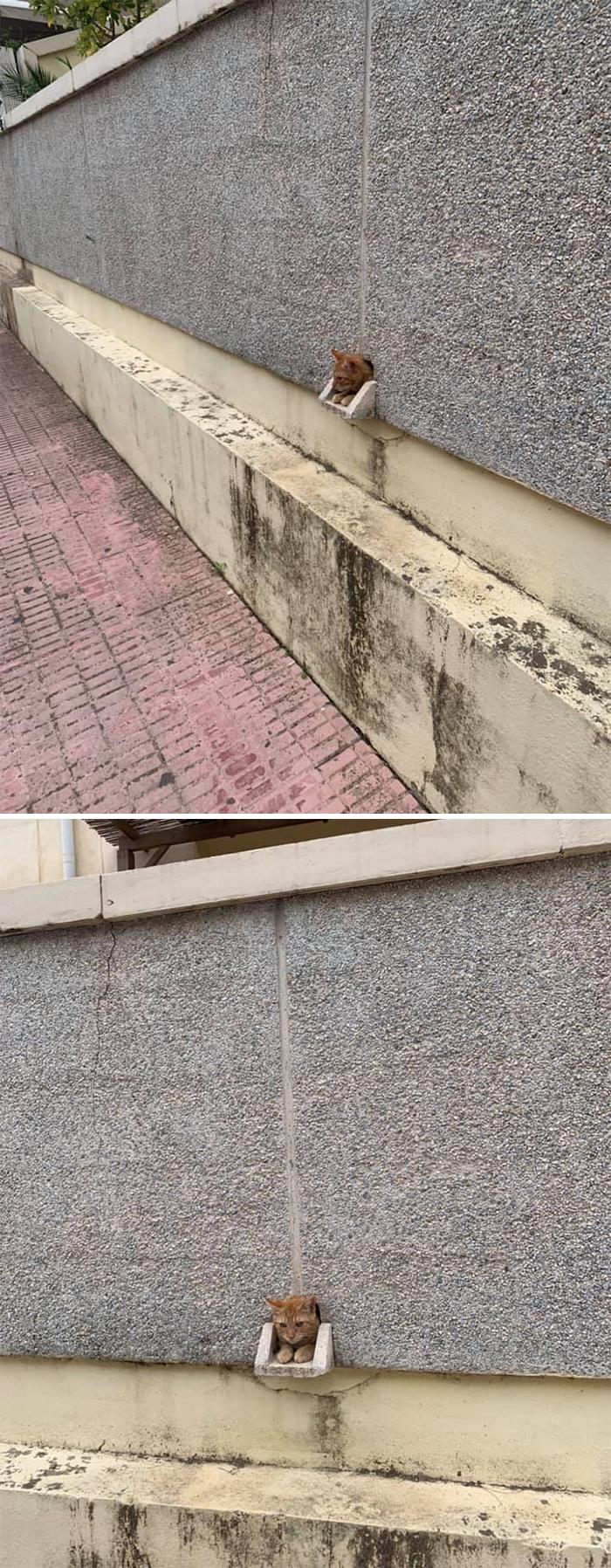 Spotted In The Building In Front Of My Job!