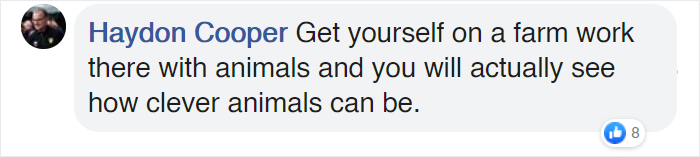 Heartwarming Video Captures Mother Cow Clearly Asking A Man To Rescue Her Newborn Calf