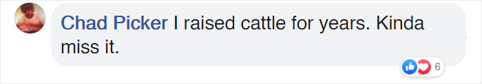 Heartwarming Video Captures Mother Cow Clearly Asking A Man To Rescue Her Newborn Calf Heartwarming Video Captures Mother Cow Clearly Asking A Man To Rescue Her Newborn Calf