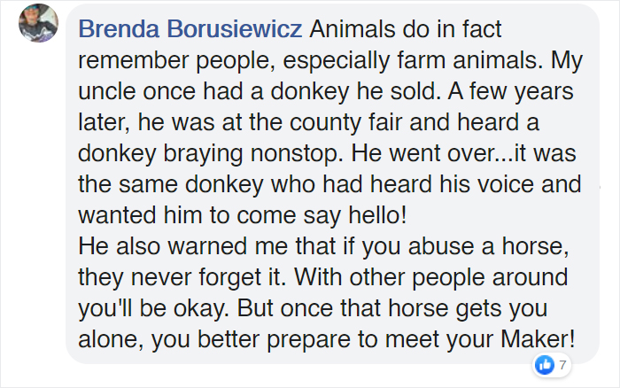 Heartwarming Video Captures Mother Cow Clearly Asking A Man To Rescue Her Newborn Calf