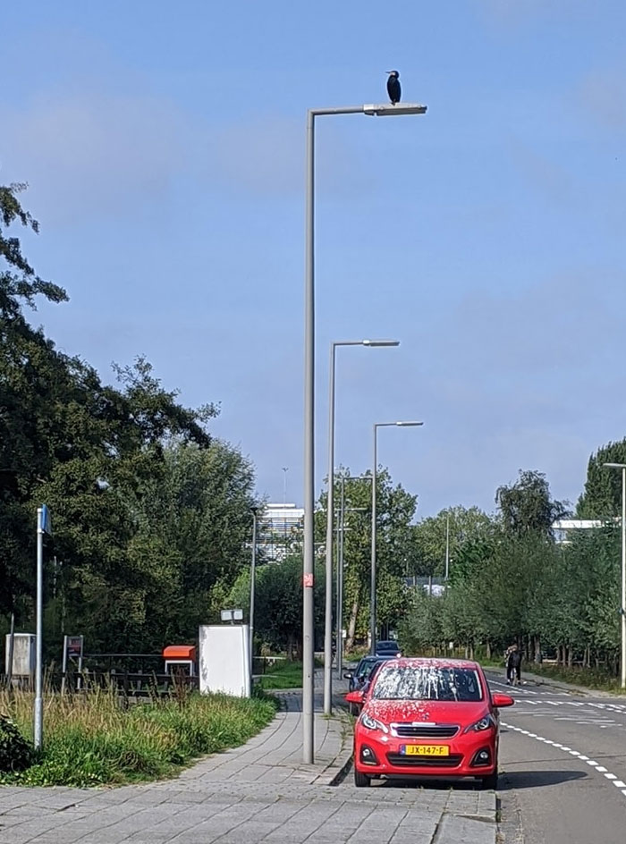 This Does Not Need A Caption, Right? Like, We're Good Here